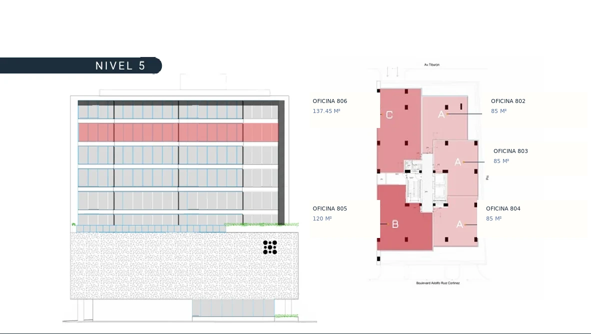 Plano del N5 · Corporativo Ejecutivo en Torre Auro